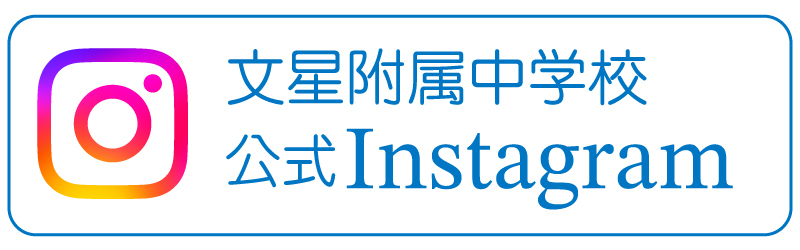LinkIcon